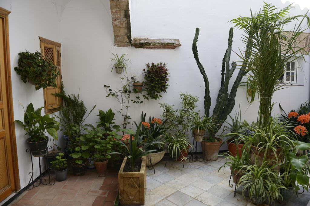 Casa Rural Las Cadenas Del Cananeo Arcos de la Frontera Extérieur photo